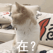 1547461137277197