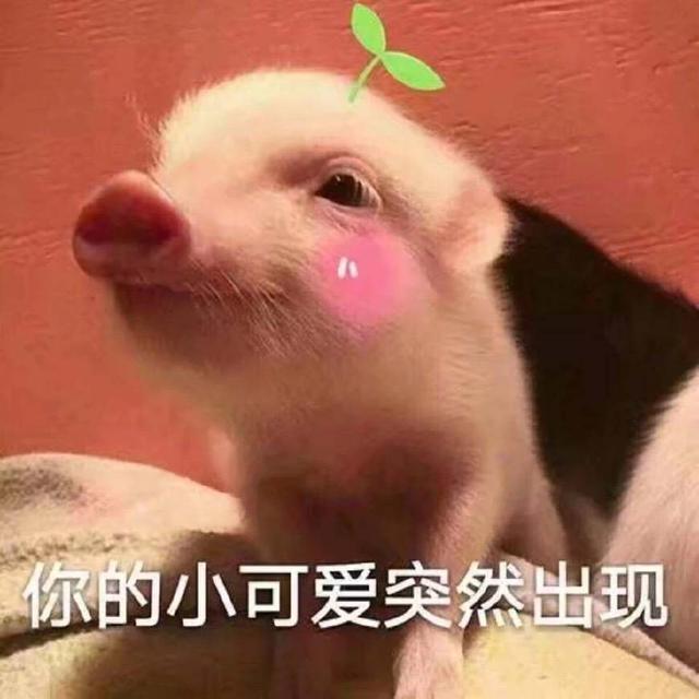 1547461204200109