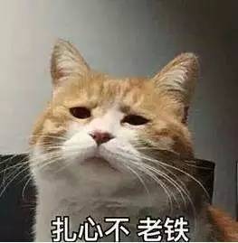 1548137598898754