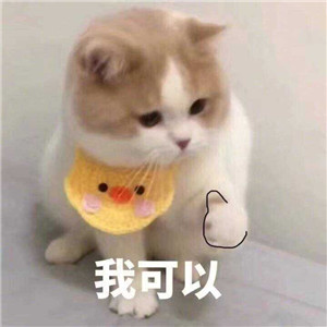 1557307029663481