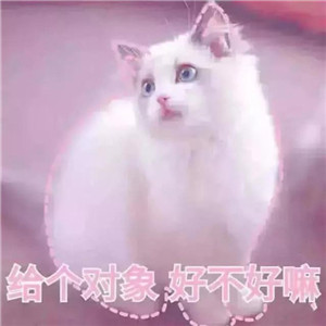 1569575428489904