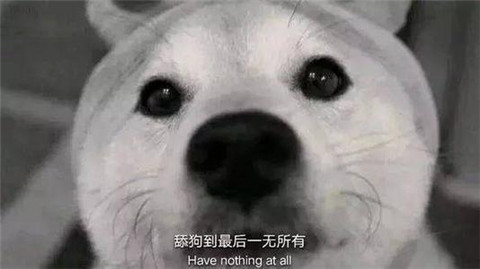 1574402206691073