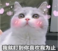 撩喜欢女生的表情包 最新撩妹表情包