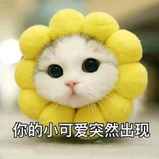 撩妹开场白表情包，不要只会说你好