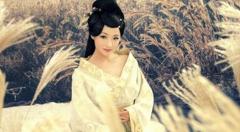 表白之类的古诗25连发