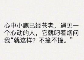 20句让女生小鹿乱撞的情话