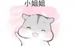 最新表白套路表情包,说不出的话让表情包来帮你