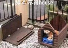 拒绝跪舔,从改变聊天方式开始