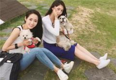 追高冷女生的招数，通过情绪共鸣让她主动起来