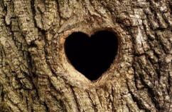 一个女生说你是树洞是什么意思？如何避免被备胎