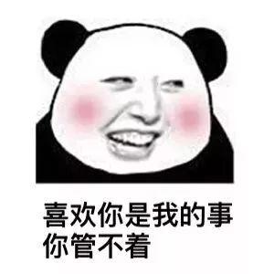 熊猫头套路追女生表情包第10张