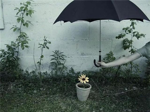 土味情话套路大全,情人节撩妹就靠这个了 土味情话套路大全,情人节撩妹就靠这个了第2张