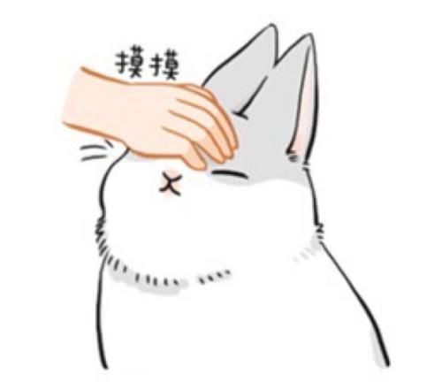 摸头安慰女生表情包，乖啦我的小仙女第10张