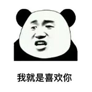 熊猫头套路追女生表情包第8张
