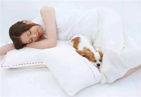 女生说不敢和我在一起，怎么回复?第2张