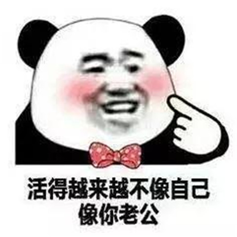 2019最新土味情话大全撩妹必备第4张