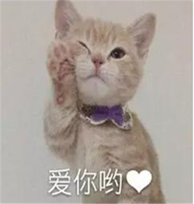 撩喜欢女生的表情包 最新撩妹表情包第4张