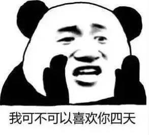 熊猫头套路追女生表情包第1张