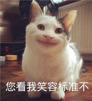 和妹子聊天开场表情包,让妹子秒回不再难第9张