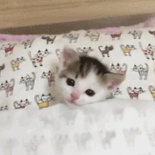 微信撩妹表情包，帮你解决开场和冷场第14张