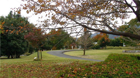 第一次约会去哪里玩?既能花钱少又能达到不错的效果 第一次约会去哪里玩?既能花钱少又能达到不错的效果第3张