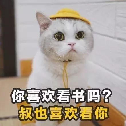 追女孩子的土味情话猫咪版表情包 追女孩子的土味情话猫咪版表情包第2张