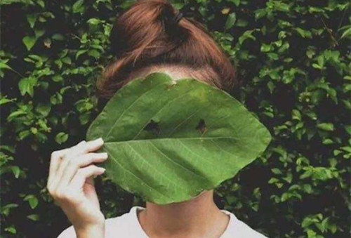 浪漫古风表白句子给女生的，委婉一点的第2张