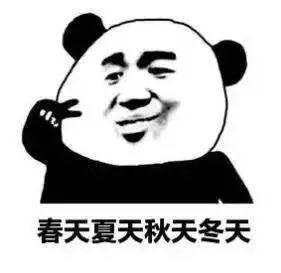 熊猫头套路追女生表情包第2张