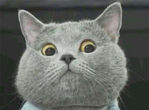 女生说你是不是傻该怎么回复？第2张