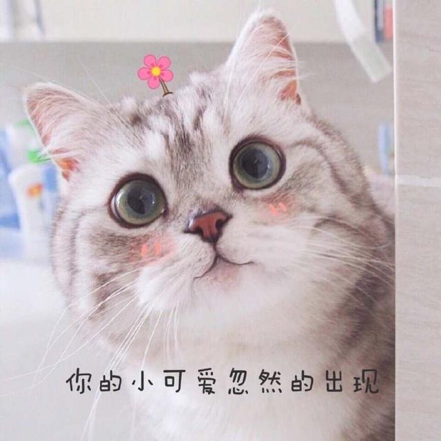 撩妹开场白表情包,不要只会说你好 撩妹开场白表情包,不要只会说你好第10张