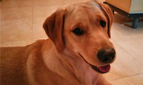 网恋怎么奔现？这些雷区千万别踩第2张