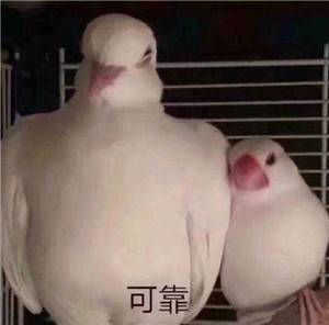 超撩的可爱表情包,女生抵抗不了的表情包 超撩的可爱表情包,女生抵抗不了的表情包第3张