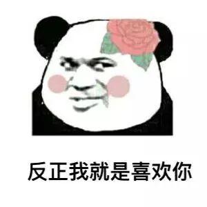熊猫头套路追女生表情包第13张