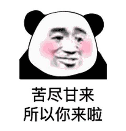 土味情话熊猫头表情包 追女生撩妹必备第9张