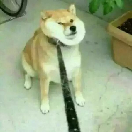 2018聊天经典坑人套路 让妹子防不胜防第9张