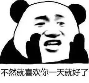 熊猫头套路追女生表情包第3张