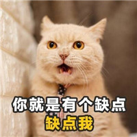 套路满满的情话表情包 你命里缺点我第2张