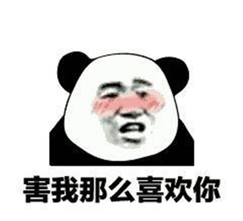 土味情话熊猫头表情包 追女生撩妹必备第8张