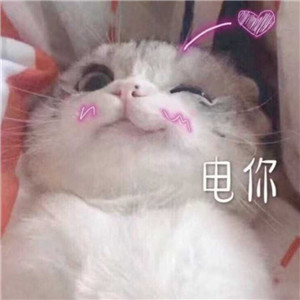 超撩的可爱表情包,女生抵抗不了的表情包 超撩的可爱表情包,女生抵抗不了的表情包第4张