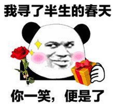 土味情话熊猫头表情包 追女生撩妹必备第17张