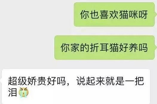 刚认识的女生怎么聊天能吸引到她？第2张