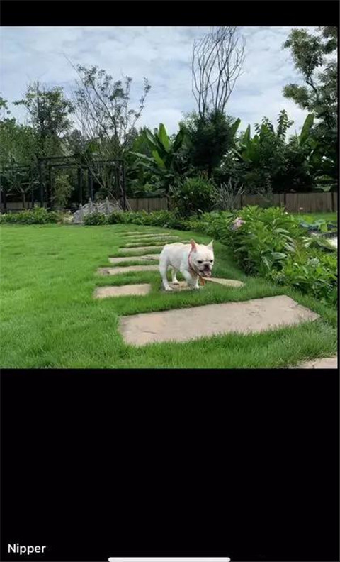 撩妹朋友圈应该怎么发？如何配文？第2张