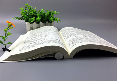 五一劳动节送正在追求的女孩什么礼物好第5张