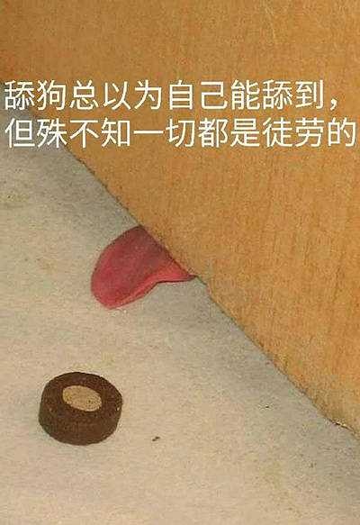 如何才能不做舔狗？4个不要需了解第1张