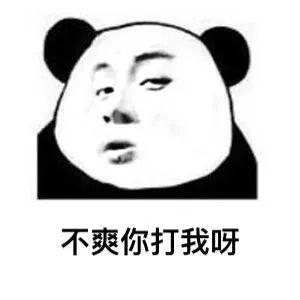 熊猫头套路追女生表情包第11张