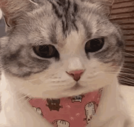 微信撩妹表情包，帮你解决开场和冷场第12张