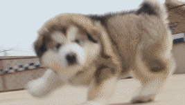 微信撩妹表情包，帮你解决开场和冷场第10张